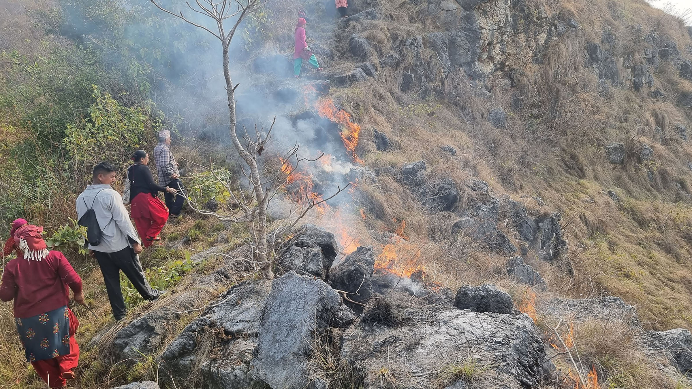 काभ्रेका ३३ जङ्गलमा डढेलो 