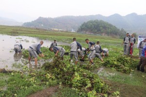 फेवाताल जलकुम्भी सरसफाई अभियानको शुभारम्भ