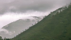 मौसम पूर्वानुमान : पहाडी भू–भागमा हल्कादेखि मध्यम वर्षाको सम्भावना 